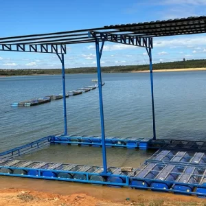 Plataforma tamanho único 6x4