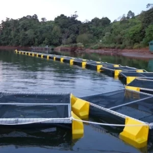 Tanque rede galvanizado revestido em PVC verde